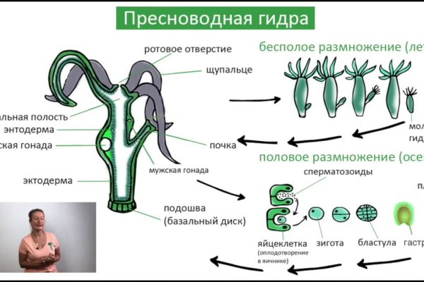 Украли аккаунт на кракене