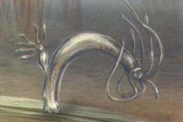 Kraken zerkalo официальный сайт