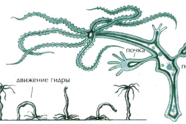 Kraken сайт даркнет