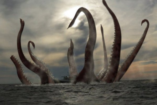 Kraken hydra