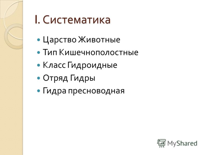 Гидра и кракен
